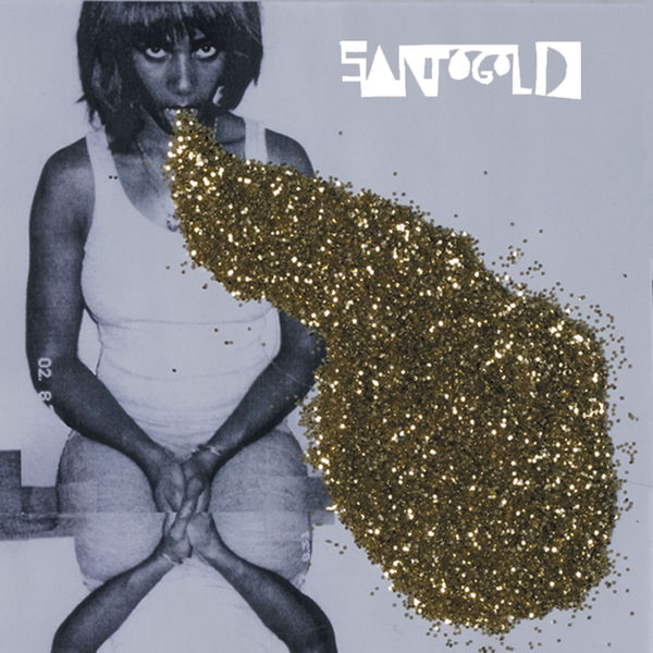 Cover of 'Santogold' - Santogold